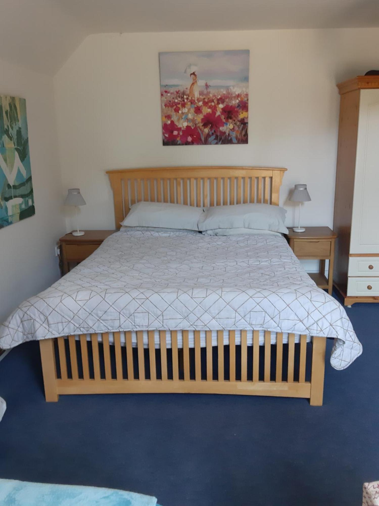 Kyleard Ryan Bed & Breakfast Monasterevin Exterior foto